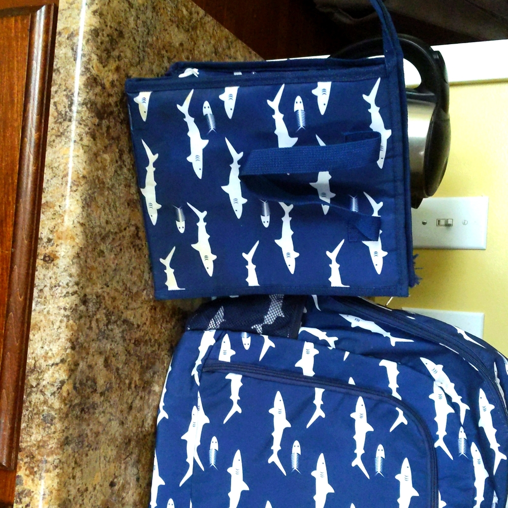 Back pack and lunchbox set